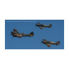 Blenheim and Escorts