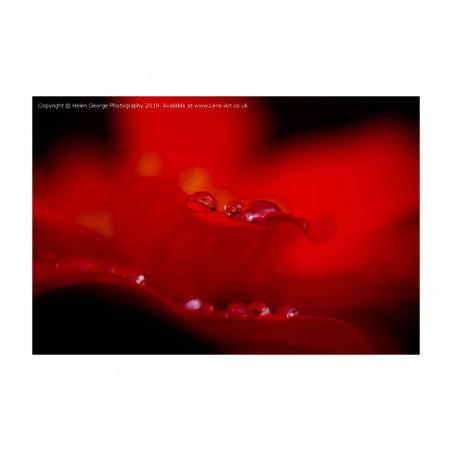 A Different Perspective