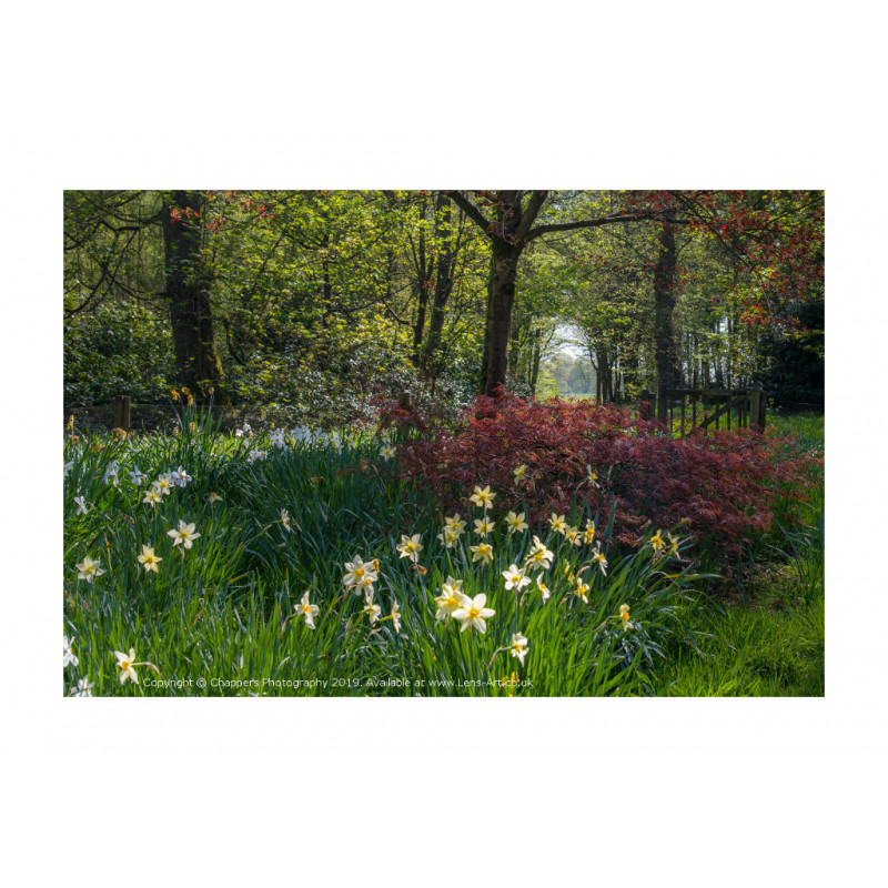 Chillington Hall Gardens