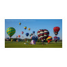 Hot Air Balloons