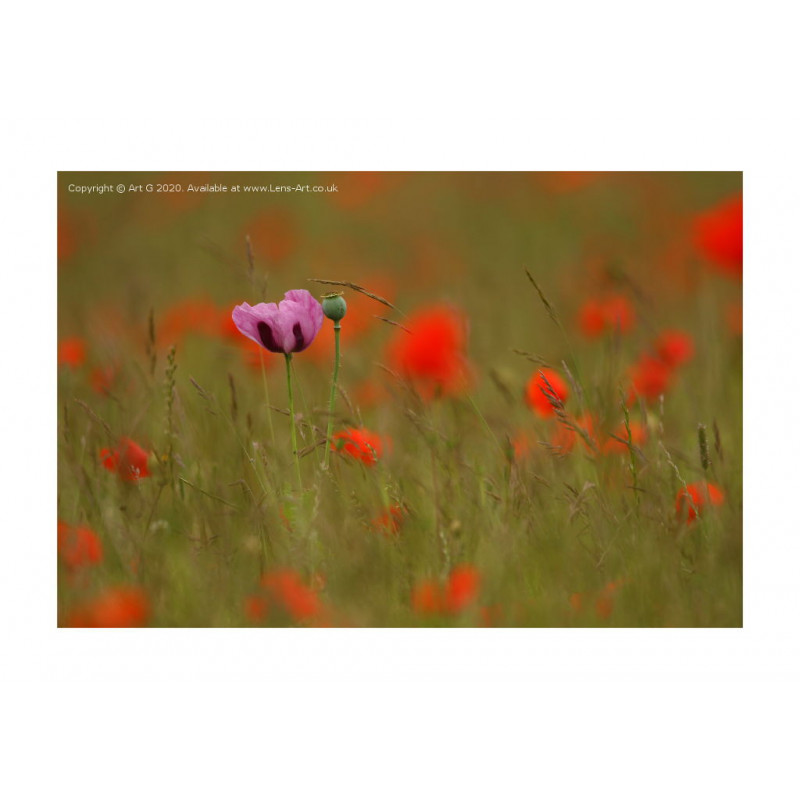 It's OK to be Different