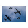 Trenchard Flight