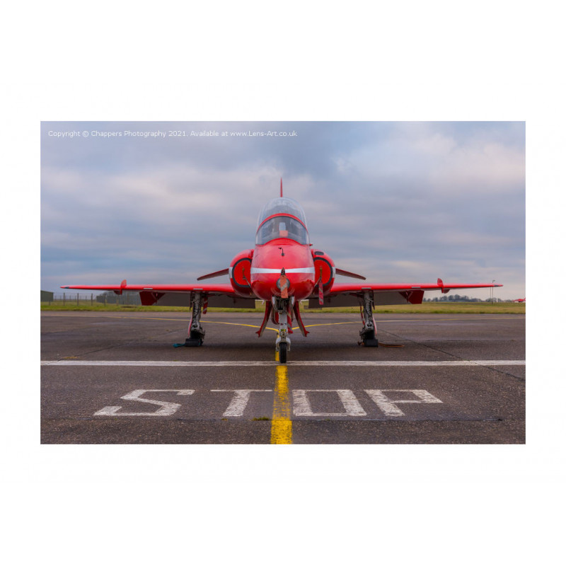 Portrait of a Red Arrow