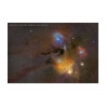 Rho Ophiuchi