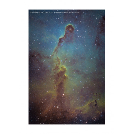 Elephants Trunk Nebula