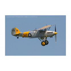 Hawker Nimrod 562