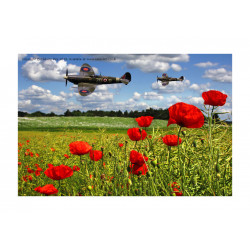 Spitfires over Poppy Field
